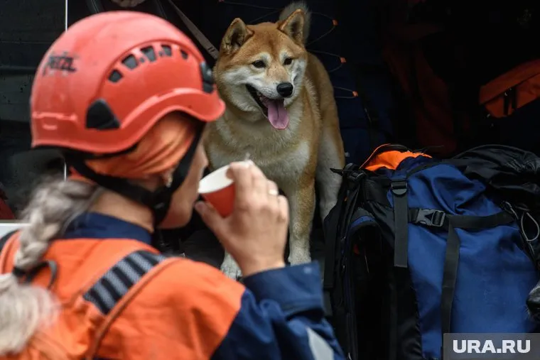 Под завалами в Саратове могут находиться люди