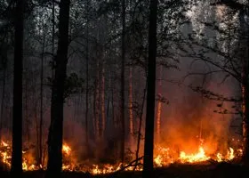 Вблизи свердловского санатория «Газпрома» вспыхнул мощный пожар