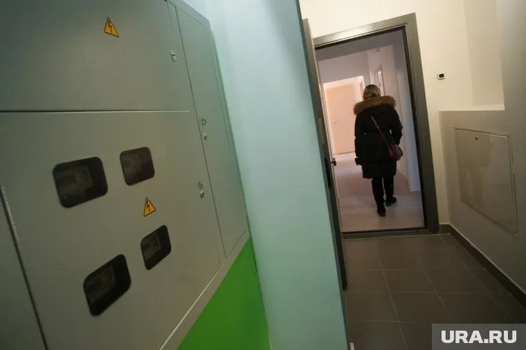 Блохи и муравьи лезут из подвала дома в подъезд и квартиры