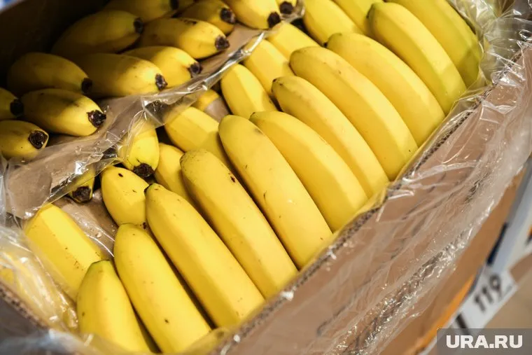 Компетентное ведомство обязало экспортеров бананов бороться с вредителями