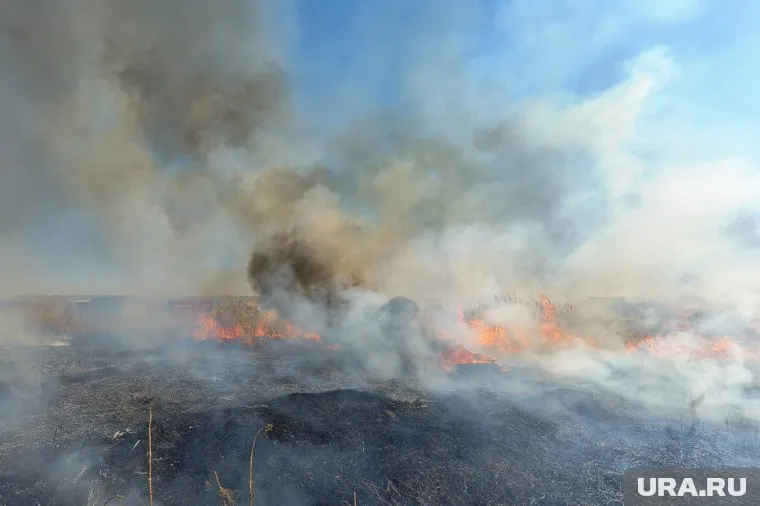 Дым от лесных пожаров в ХМАО ощущается в Челябинске