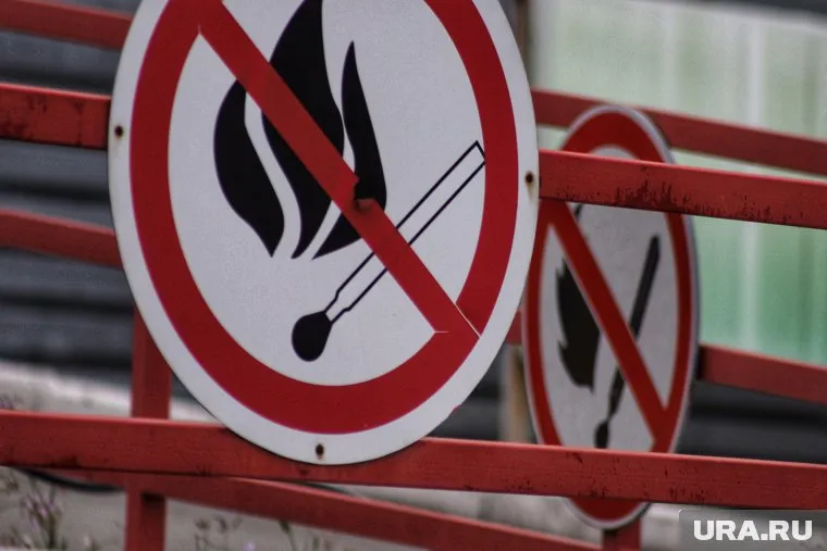 Горящий мусор чуть не лишил город стратегического объекта