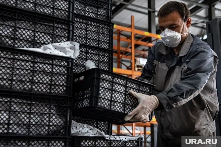 Разрешение на оборот товаров без маркировки вводится до 1 апреля 2025 года