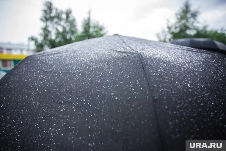 Синоптики обещают, что вторая неделя лета будет холодной и дождливой