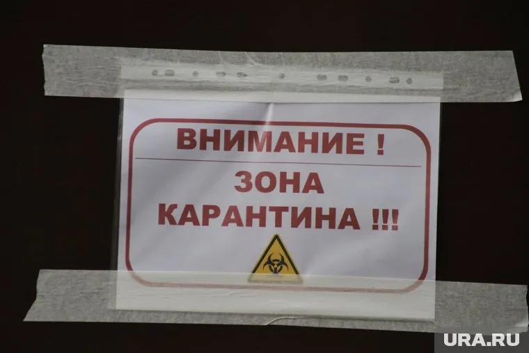 Горбольницу №40 в Екатеринбурге закрыли на карантин