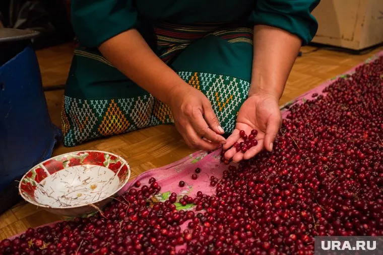 Компания получает сертификат на продукцию по стандартам «Халяль»