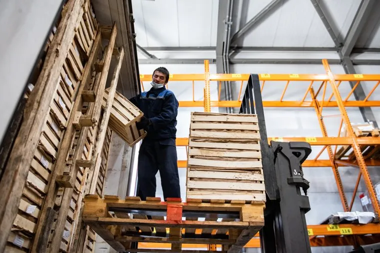 Таможенное оформление плодоовощной продукции. Екатеринбург