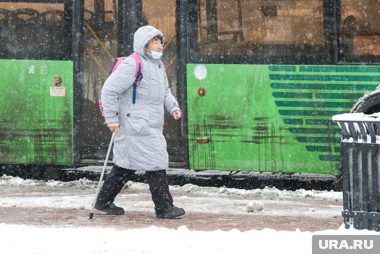 За сутки в областном центре выпадет недельная норма снега