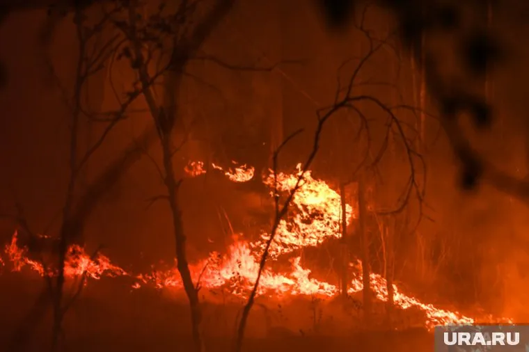 Туристов обвиняют в поджоге, который они не совершали