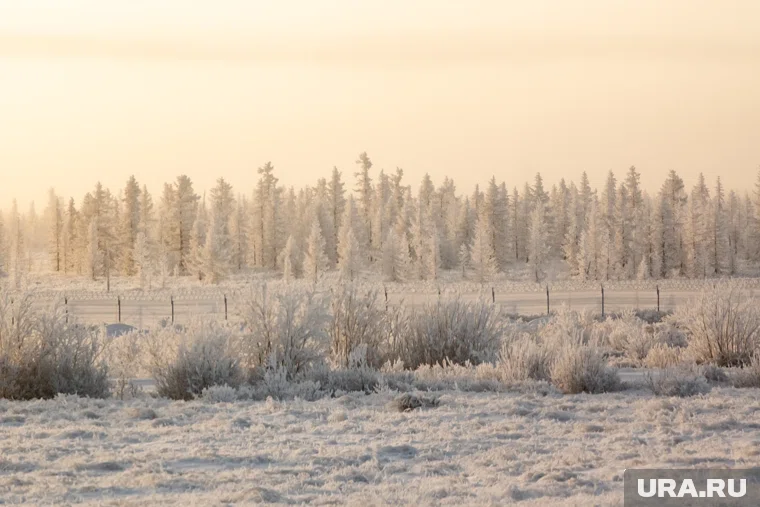 В России наступает зима