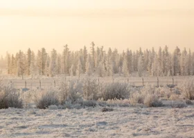 Вильфанд: почти всю Россию покрыл снег