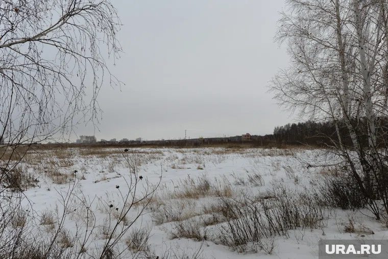 Территория стадиона заросла травой