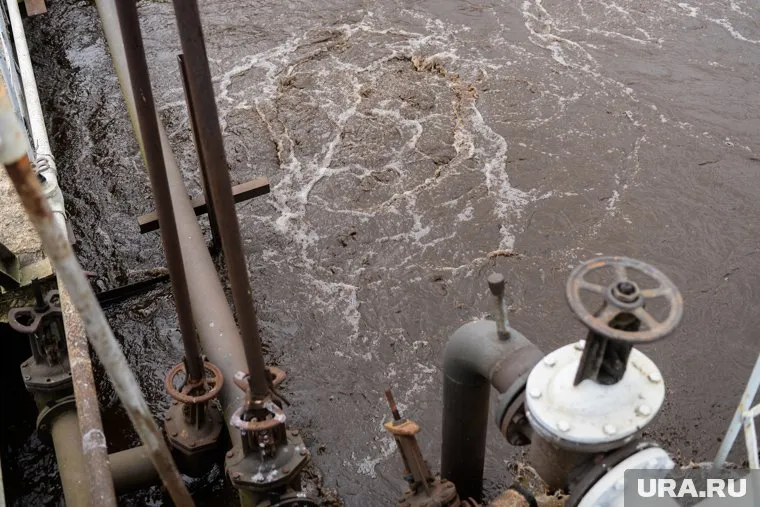 На экологическую катастрофу в Лосином пожаловались в Генпрокуратуру