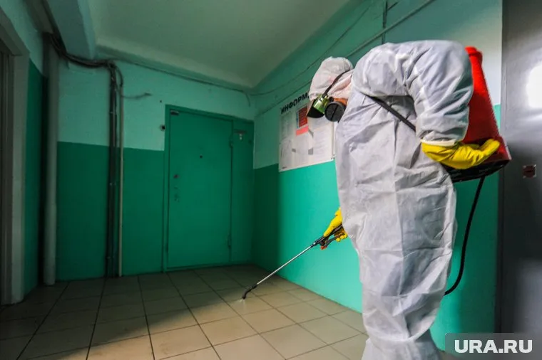 Тюменцы считают, что в их дома специально подкидывают тараканов, чтобы «уговорить» жильцов на проведение дезинсекции квартир