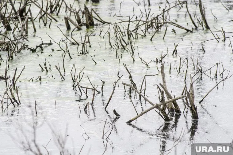 Мальчика вытащил из трясины его приятель (фото из архива)