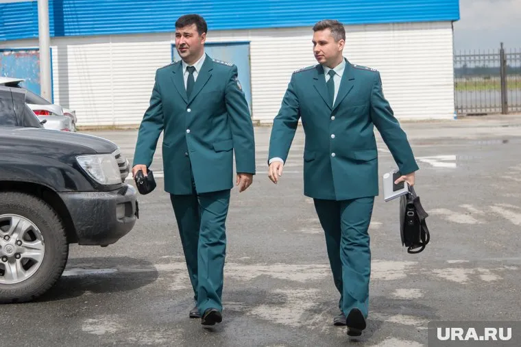 НДС на импортные товары будет собирать налоговая служба