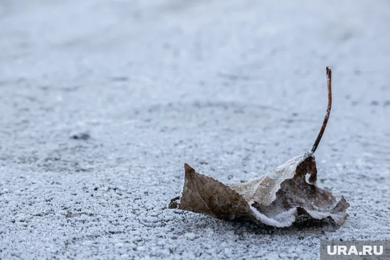Снега в Тюмени зимой будет немного