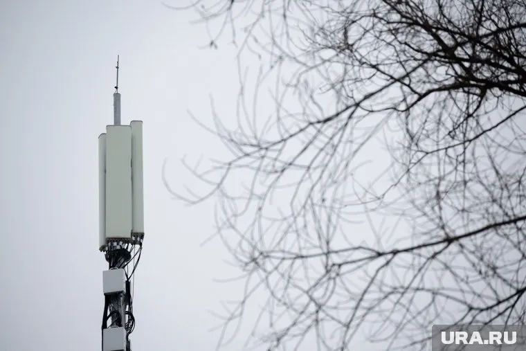 План поджога провалился из-за того, что жидкость не воспламенилась