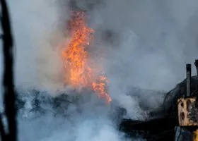 Фотография из галереи