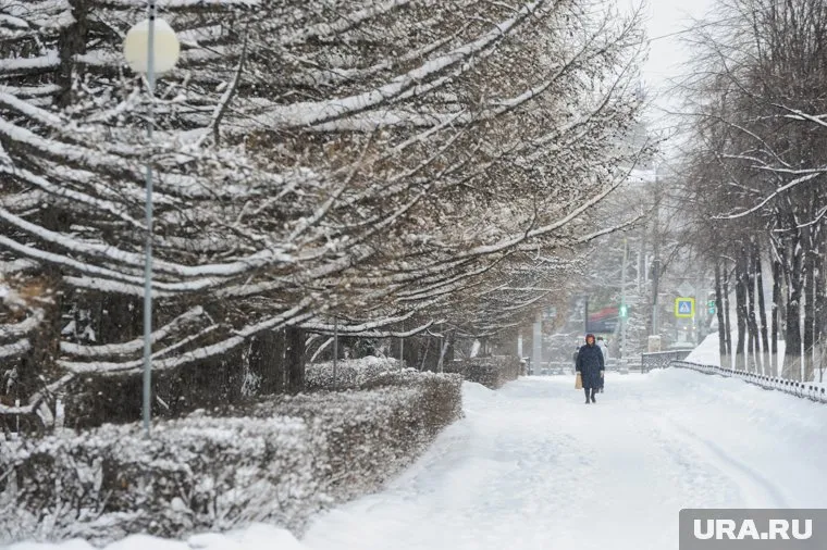В конце недели на юге Сибири резко потеплеет
