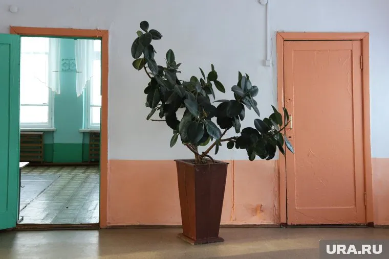 Уволен директор курганской школы, в поддержку которого жители хотели выходить на митинг