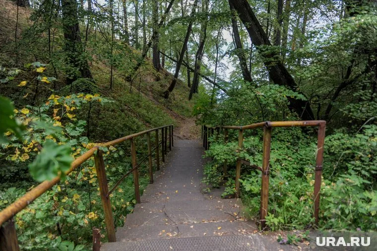 Летом власти Ханты-Мансийска построят пять локаций для отдыха в городских лесах