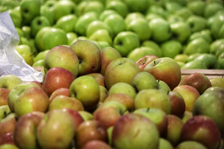 Торговый центр. Курган