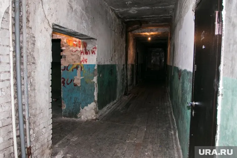 Ревдинцы жалуются на ужасную вонь из-за фекалий и расплодившихся блох