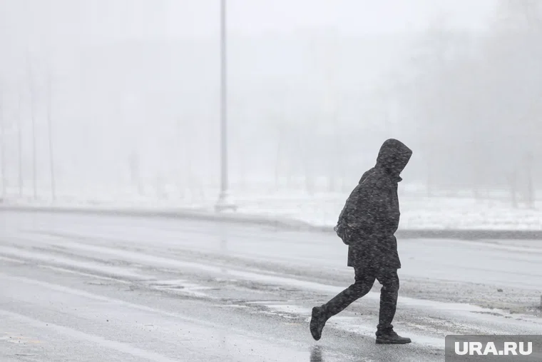 Синоптики пообещали челябинцам снегопад в предстоящую неделю