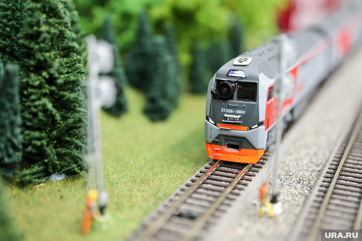  Вагоны поезда оснащены местами для хранения горнолыжного оборудования 