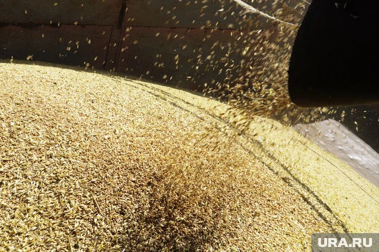 Когда завод заработает, предприятие сможет производить в два раза больше «Геркулеса»