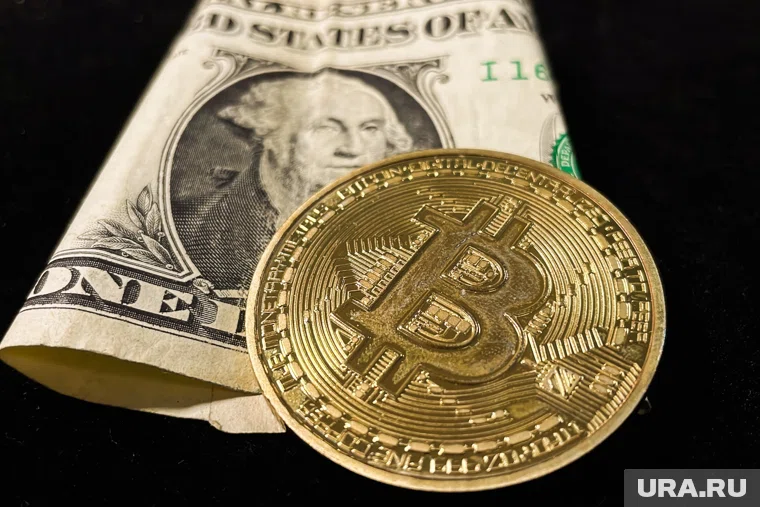 По словам Ирины Волк, супругов убили из-за вымогательства криптовалюты