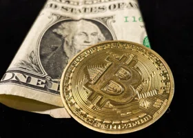 Фотография из галереи