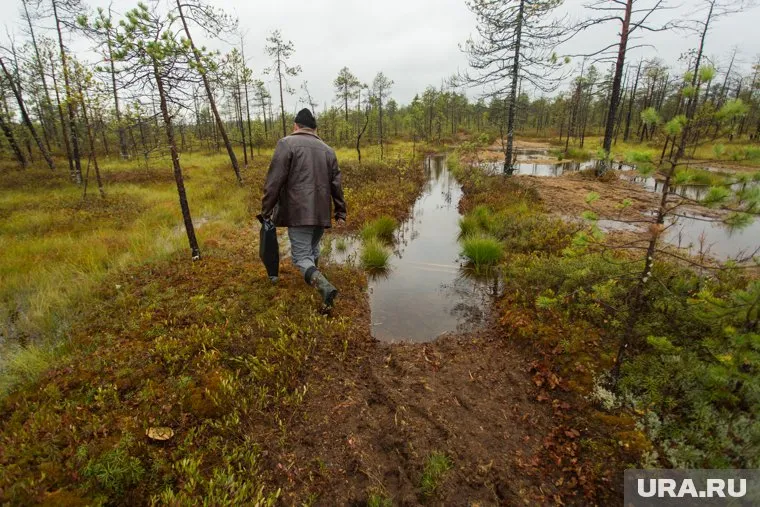 В тайге участникам нужно продержаться 5 дней