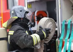 Фотография из галереи