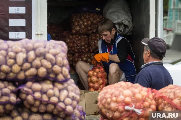 Китай поставил в Россию 75 тысяч тонн картофеля вместо прошлогодних двух тысяч тонн