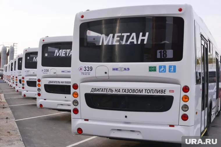 Челябинск купил 49 новых автобусов, аукцион еще на 17 машин не состоялся