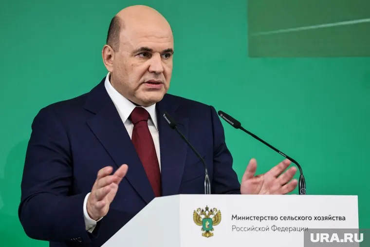 Премьер Михаил Мишустин назвал сельское хозяйство ключевым сектором российской экономики