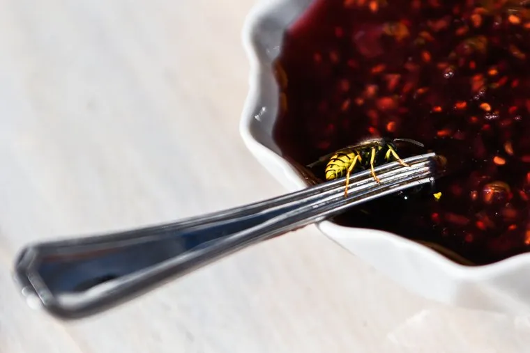 Завод Фарфор Сысерти и проект Антихрупкость. Свердловская область