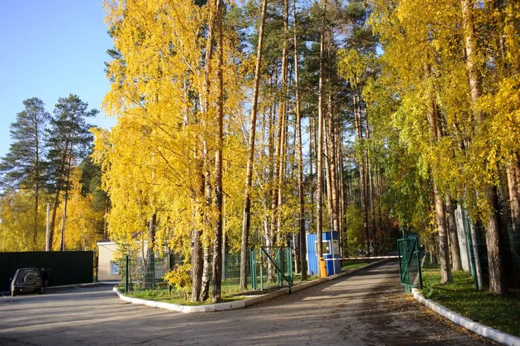 Реабилитационный центр "Урал без наркотиков". Екатеринбург