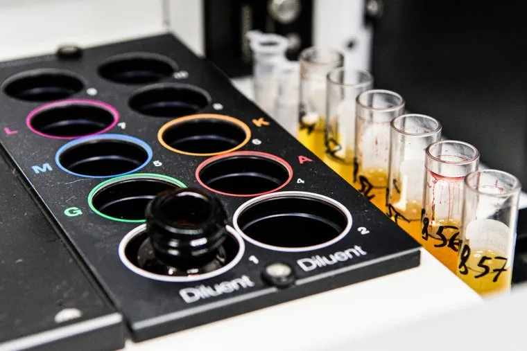 Очереди по справкам на водительские права. Екатеринбург