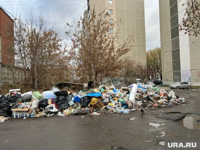 Свалки были найдены квартальными Тюмени