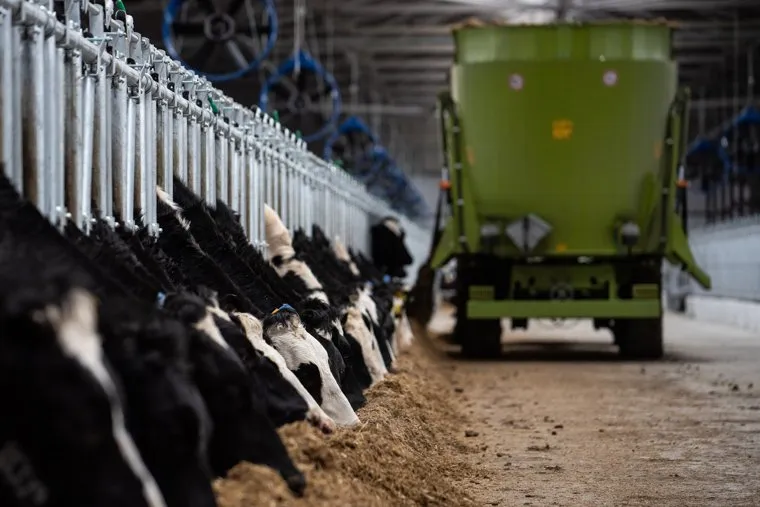 Визит заместителя Губернатора Свердловской области Алексея Шмыкова на строительную площадку молочно-товарной фермы «Ударник». Свердловская область, село Сажино