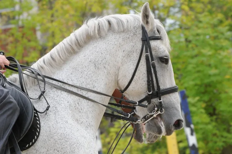 Озерск. Челябинская область.