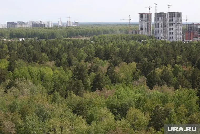 Благоустройство парка планируют завершить в декабре 2026 года