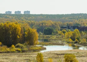 На реке Миасс в Челябинске снова зафиксированы маслянистые пятна