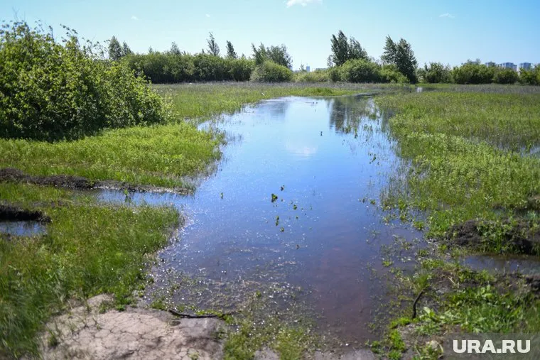 Тело обнаружили спустя несколько дней