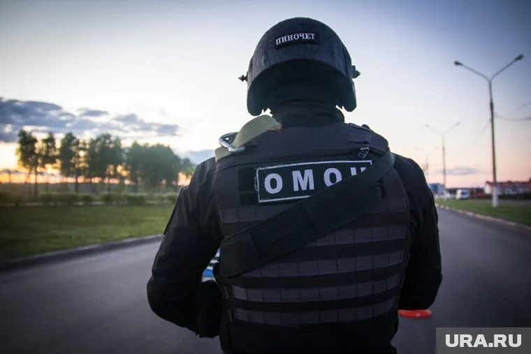 Силовики уничтожили найденные гранаты