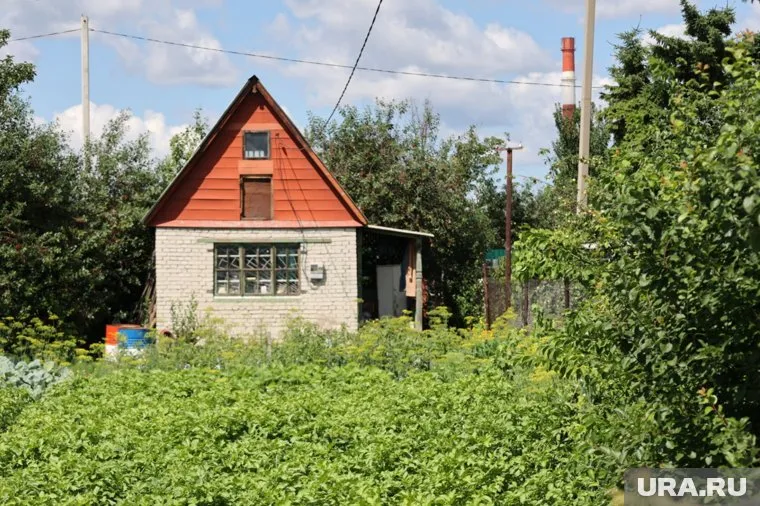 Злоумышленники могут продавать меньшую площадь участка, чем указано в договоре, сказала Ирина Гукова