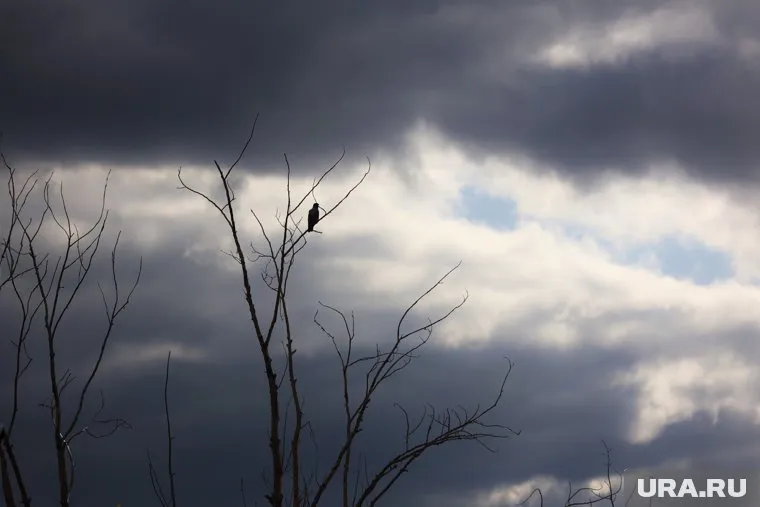 Вечером в Шадринске возможен небольшой дождь